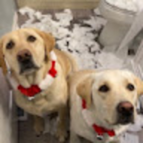 Meet your Posher, Meg - Picture 1 of 1